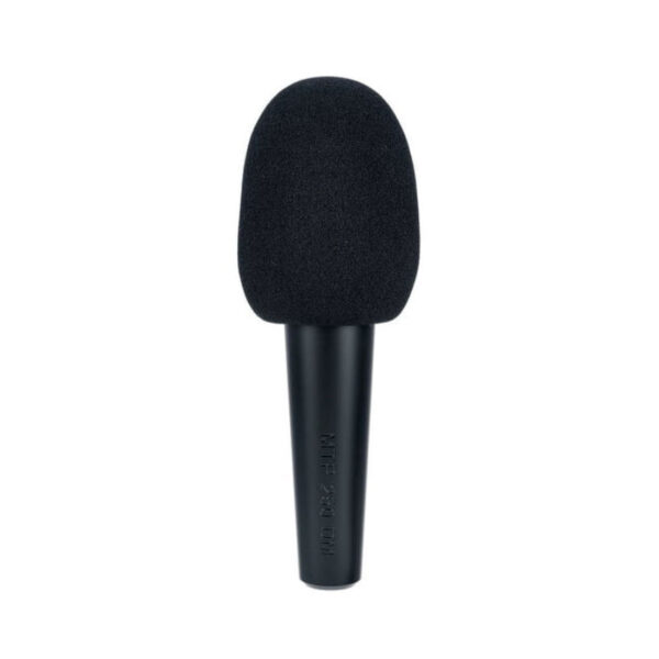 میکروفن با سیم لویت Lewitt MTP 250 DM