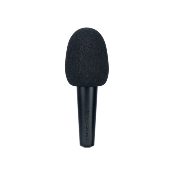 میکروفن با سیم لویت Lewitt MTP 550 DM