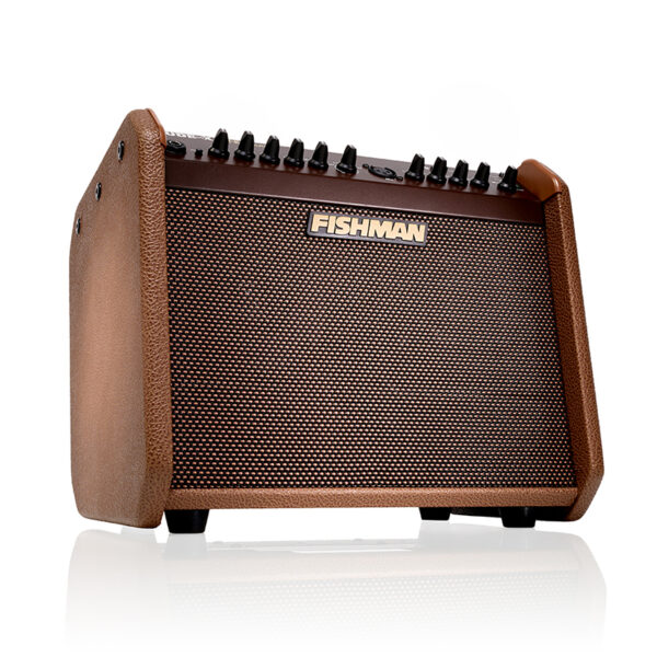 آمپلی فایر گیتار فیشمن Fishman Loudbox Mini Charge