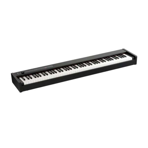 پیانو دیجیتال کرگ Korg D1